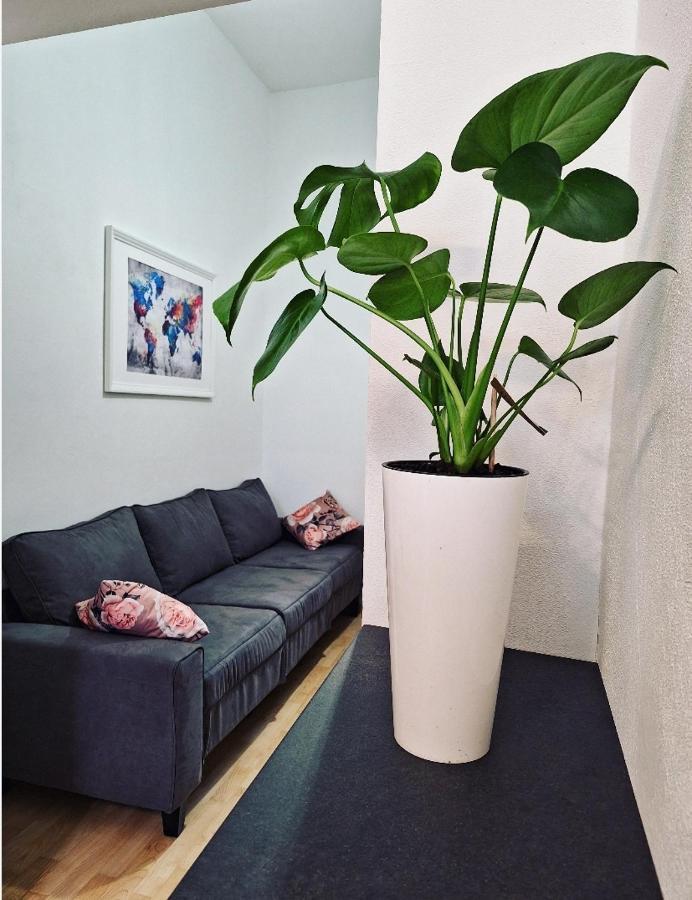 Apartment Ory 2 Between The Beach And City Center 普拉 外观 照片